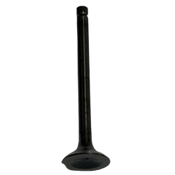 SUPAP EGZOZ JUPITER E4-E5,WEGO A