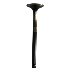SUPAP EGZOZ DELIGHT125 A