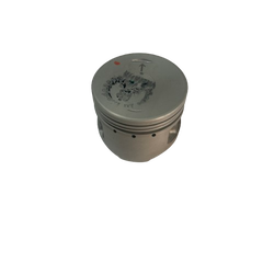 PİSTON CRYPTON A STD
