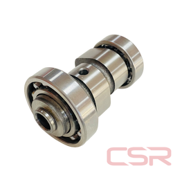 EKSANTRİK MİLİ BWS125 CSR