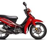 CRYPTON C8