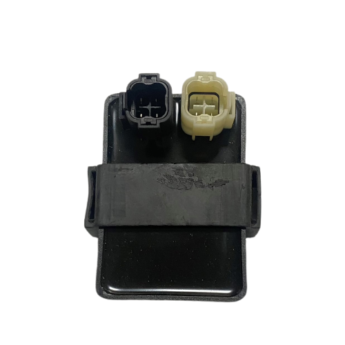 BEYİN FIZY OEM