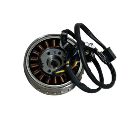 TVS - STATÖR+MANYETO RAIDER A TVS - STATÖR+MANYETO RAIDER A