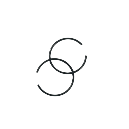 PERNO SEGMANI SR250 NK250 E5