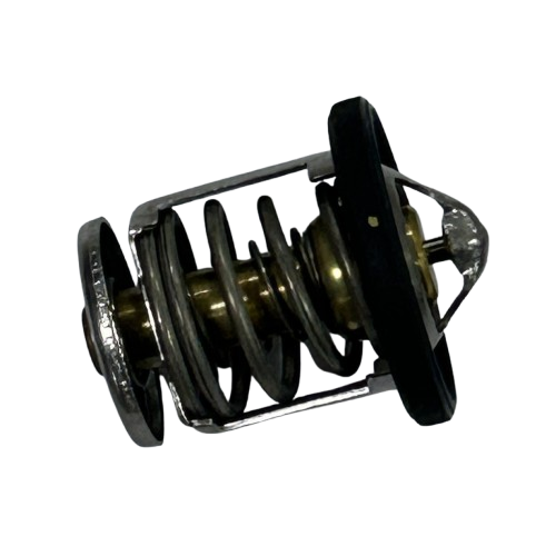 TERMOSTAT NS-RS 200 A