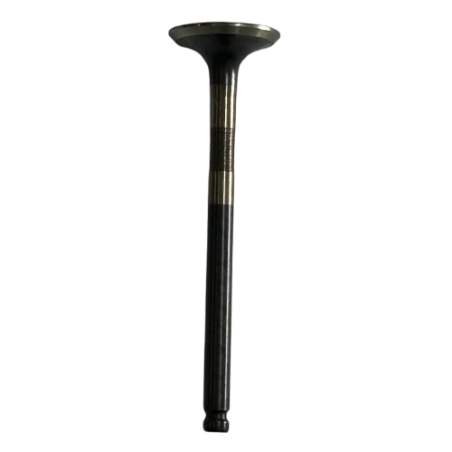 SUPAP EGZOZ DELIGHT125 A