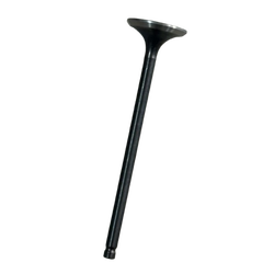 TVS - SUPAP EGZOZ RAIDER A TVS - SUPAP EGZOZ RAIDER A